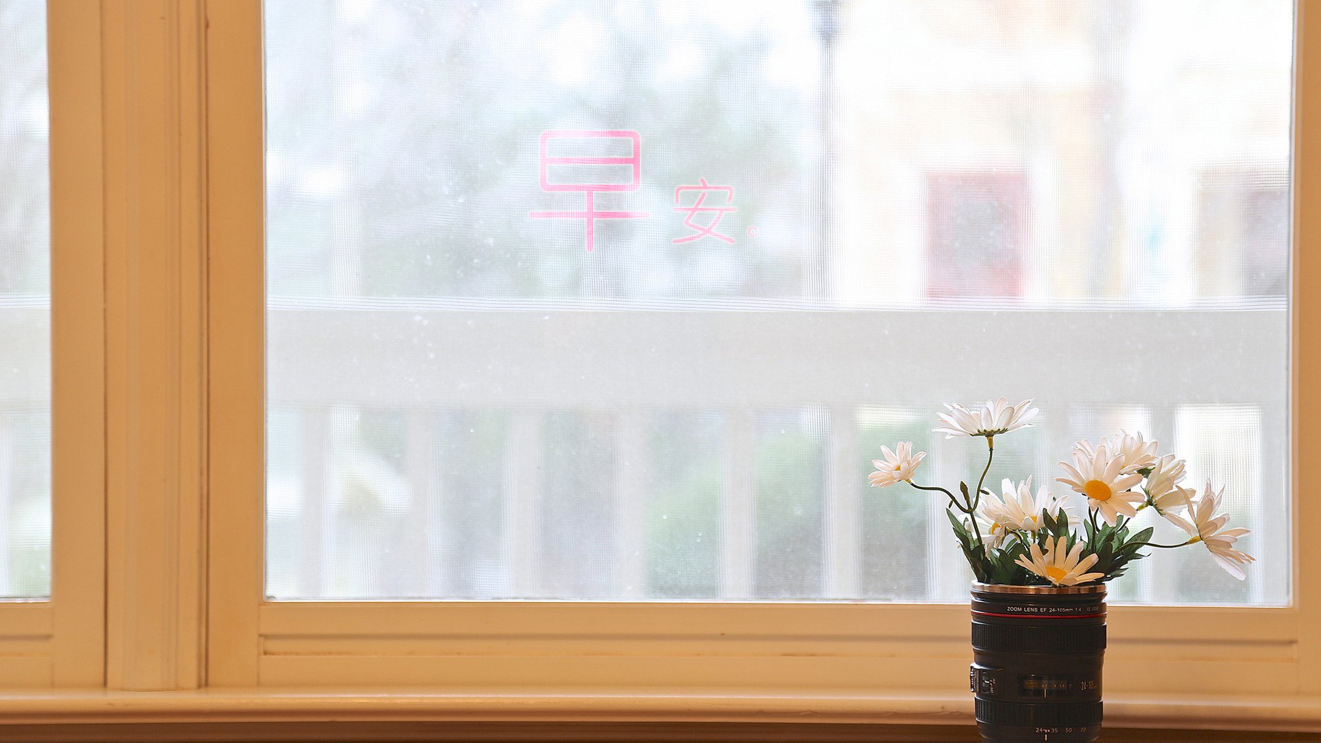 小清新,唯美,早安,温暖,温馨,幸福,窗户,养胎,花