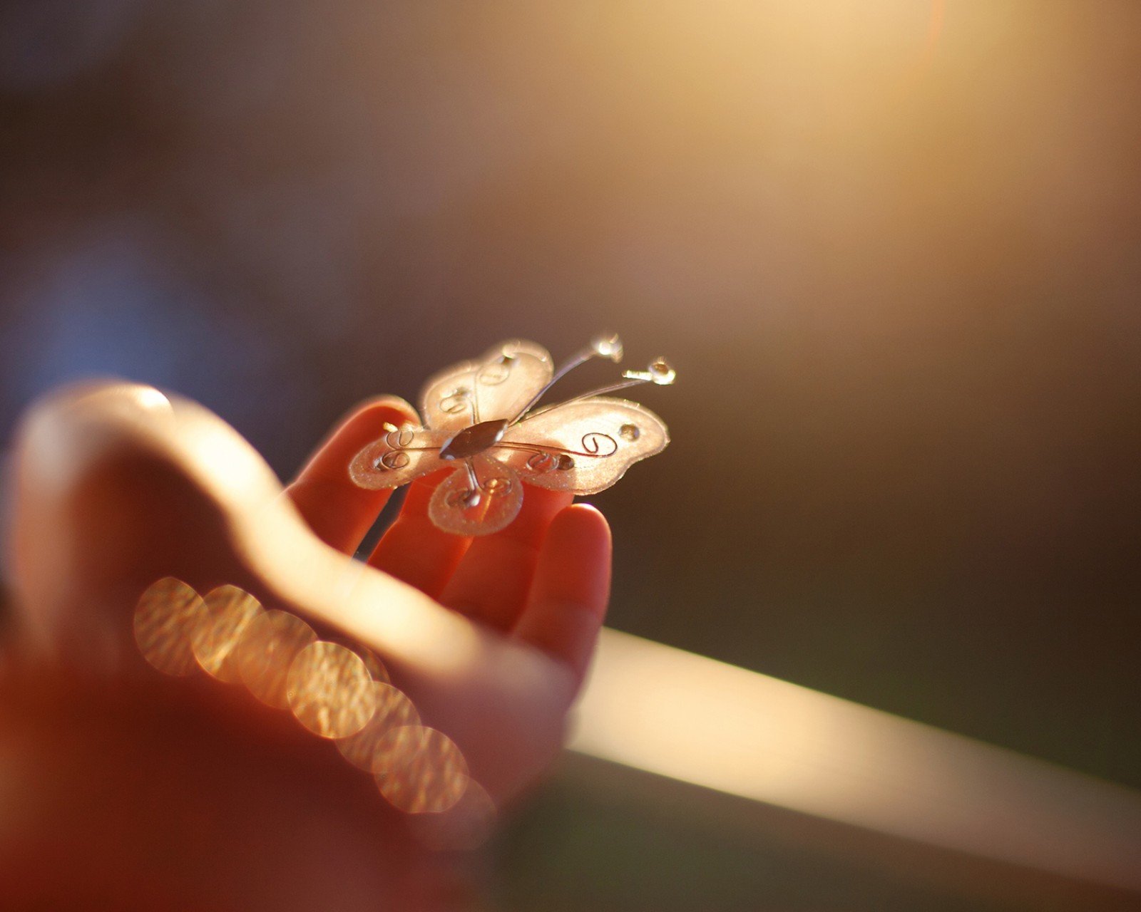 小清新,温暖,干净,安静,温馨,唯美,静物,物语,蝴蝶,手