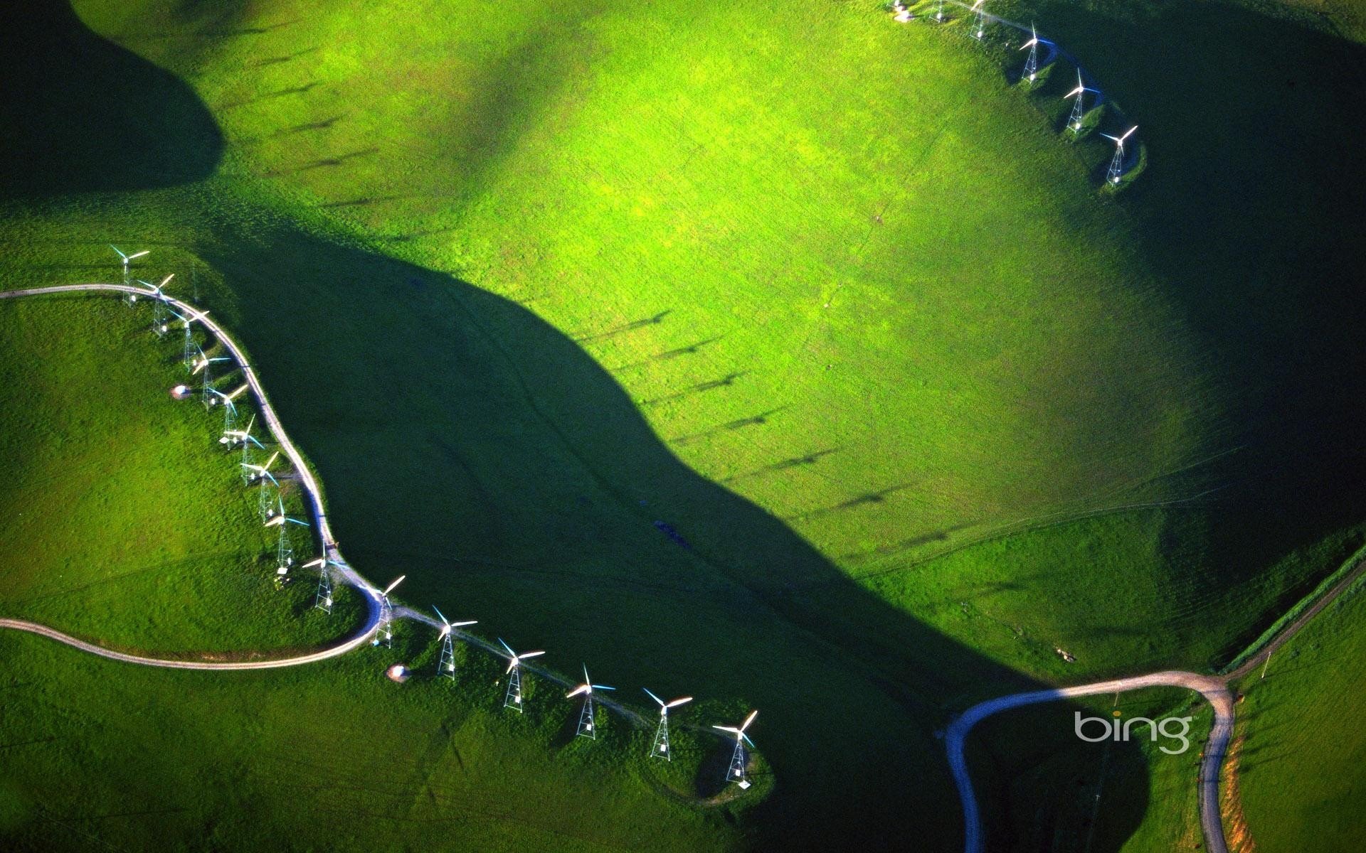 风景,自然风光,意境,炎炎夏日