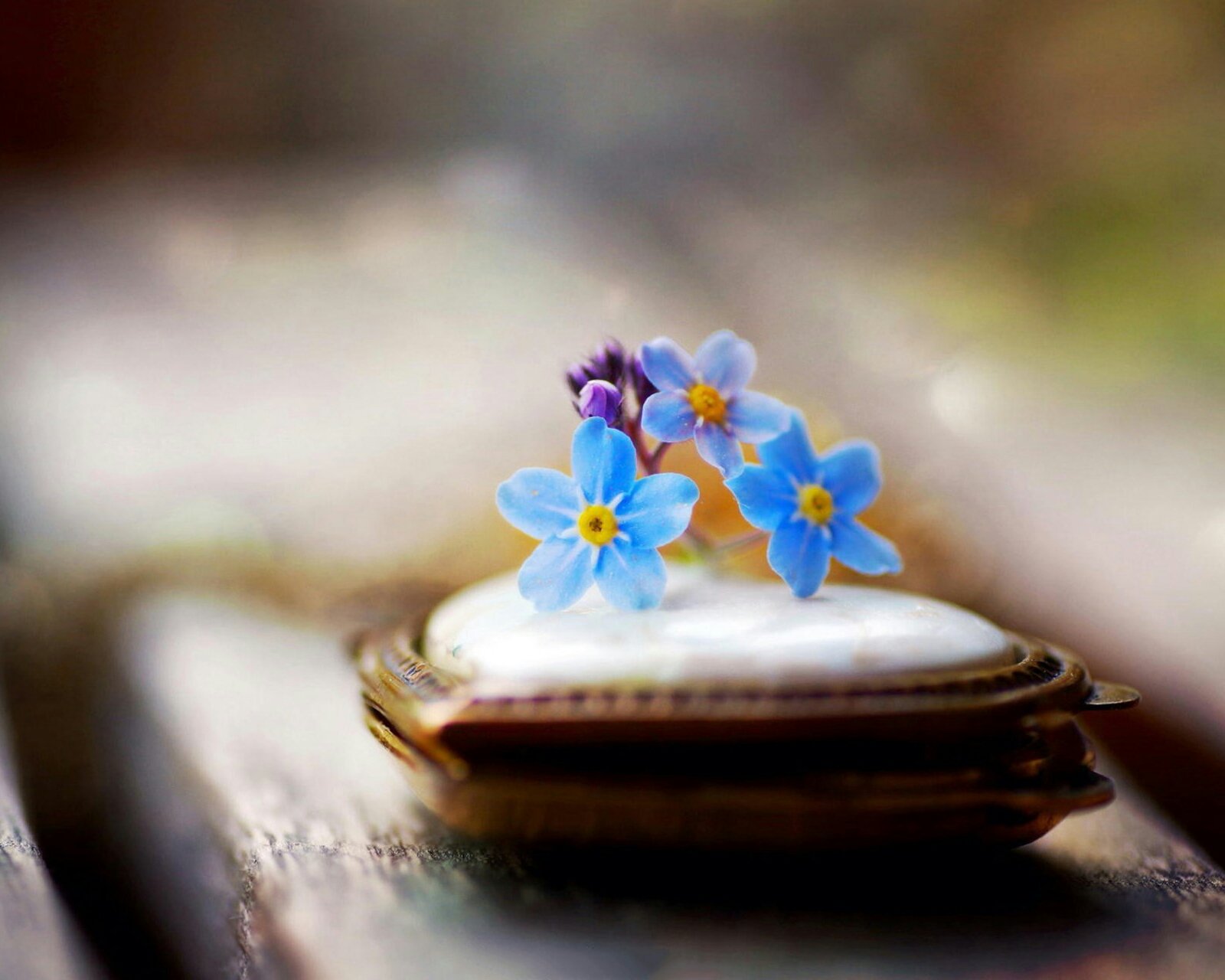 小清新,唯美,静物写真,温馨,物语,回忆,绳子