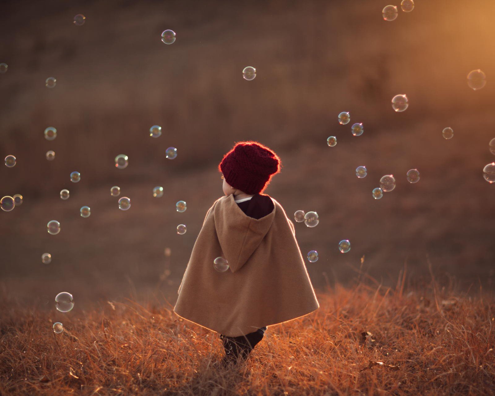 情感,爱情,浪漫,戒指,心