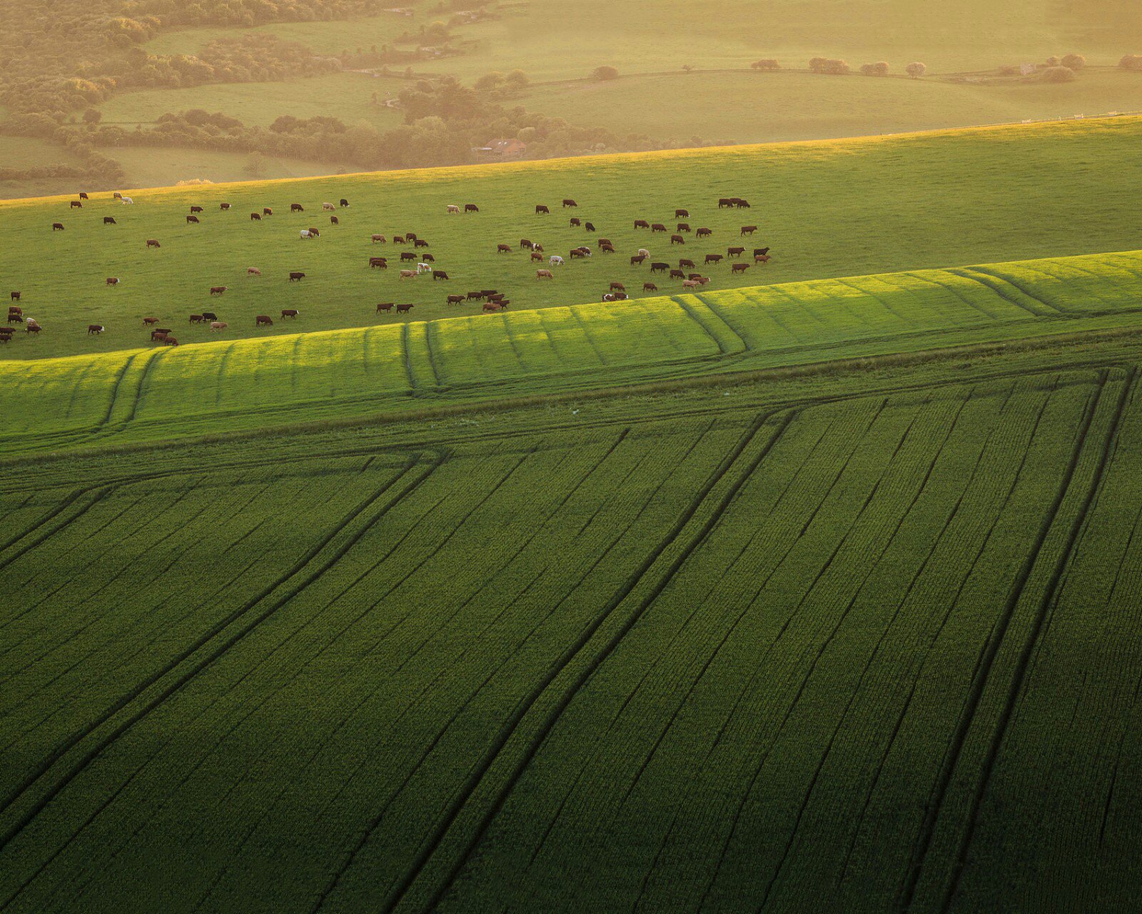 风景,风光,旅行,唯美,意境