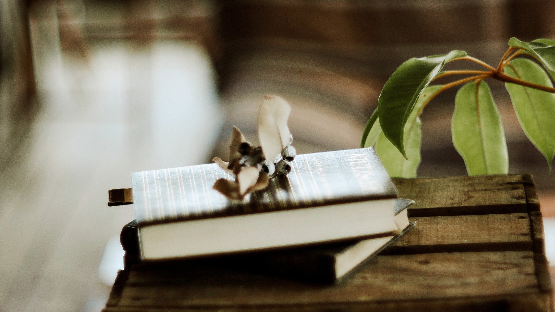 小清新,温暖,干净,安静,唯美,静物,物语,时光