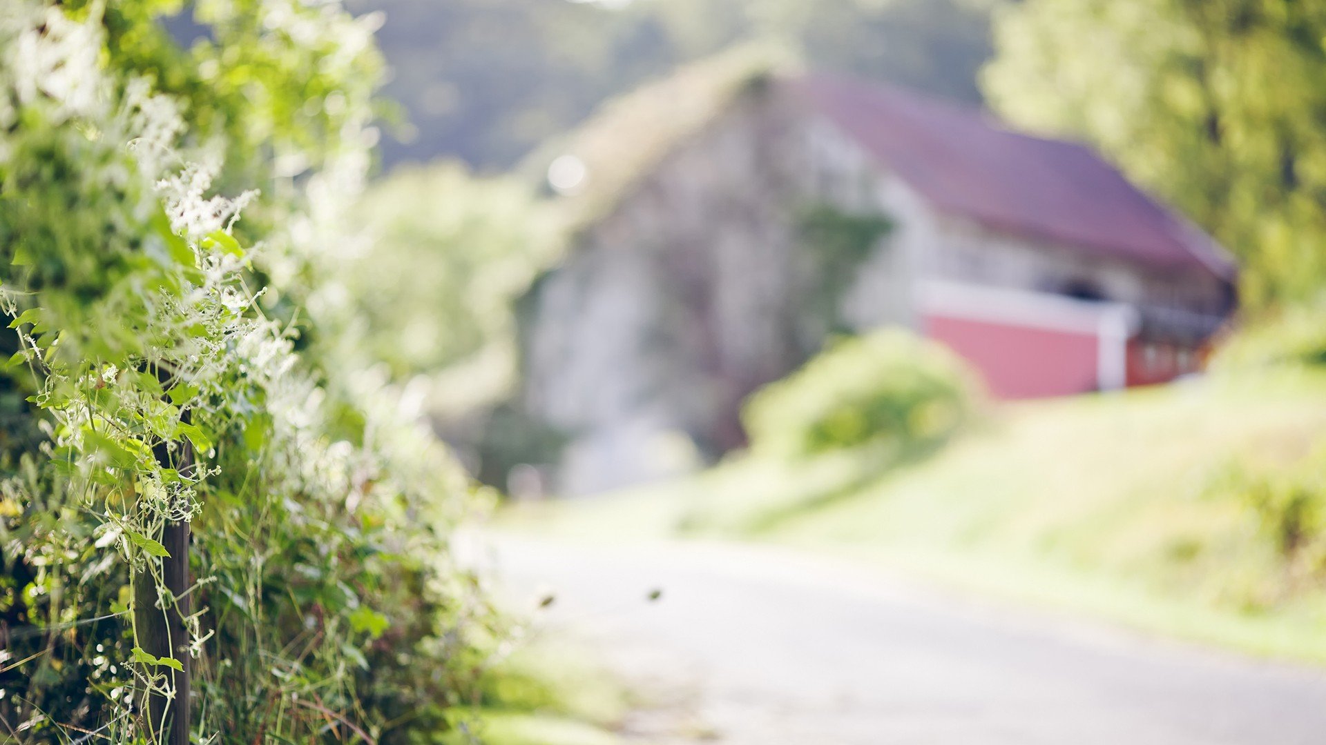 风景,自然风光,小镇,田园,房子,唯美,春意盎然,炎炎夏日