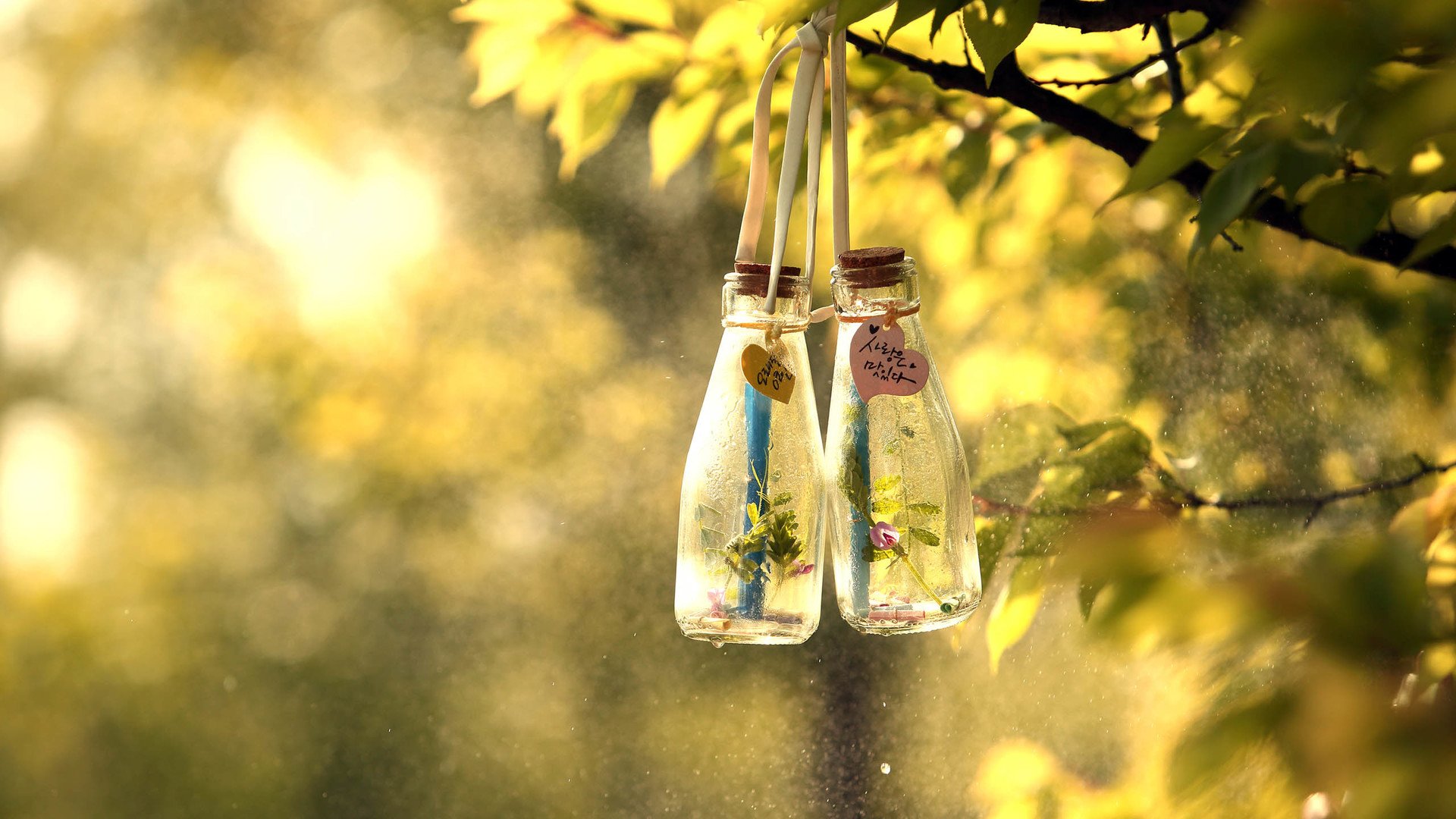 小清新,温暖,干净,安静,温馨,唯美,静物,物语,许愿瓶