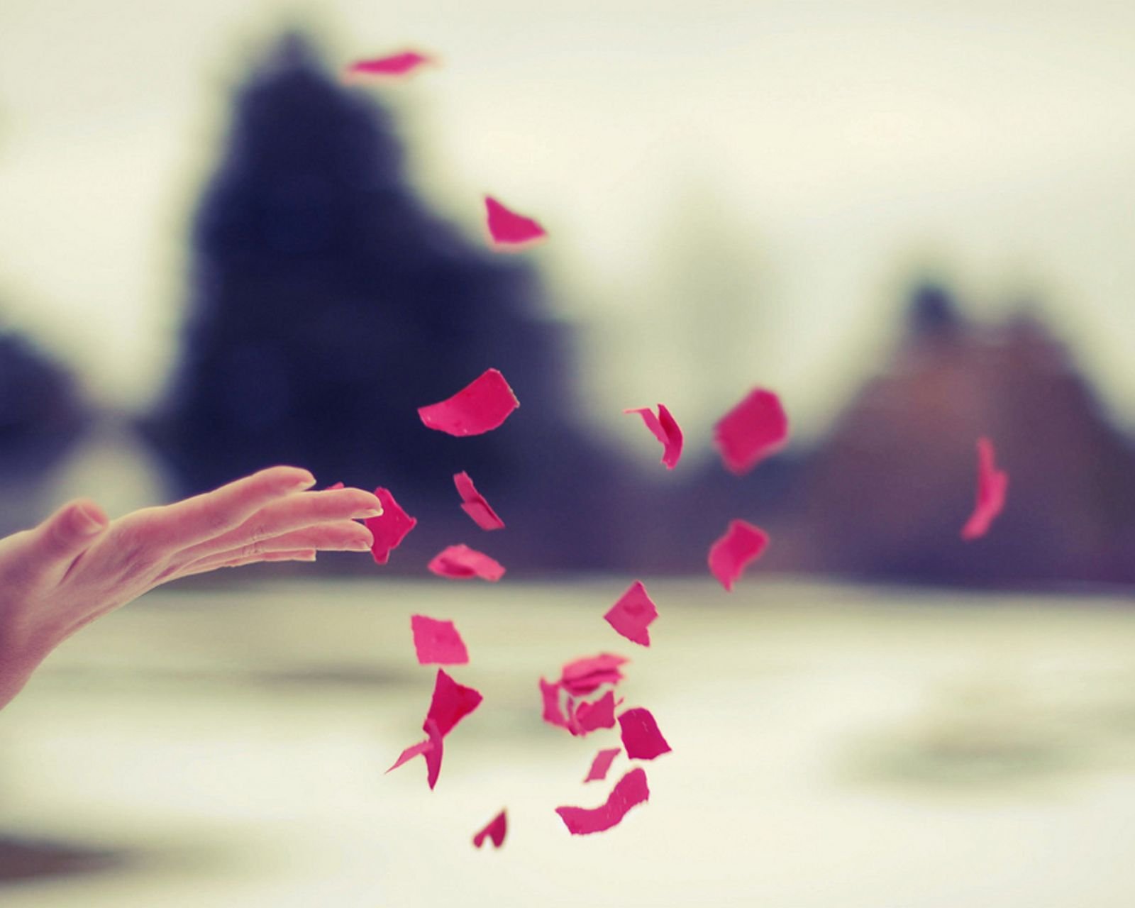 小清新,唯美,静物写真,温馨,物语,回忆,表,时间,复古