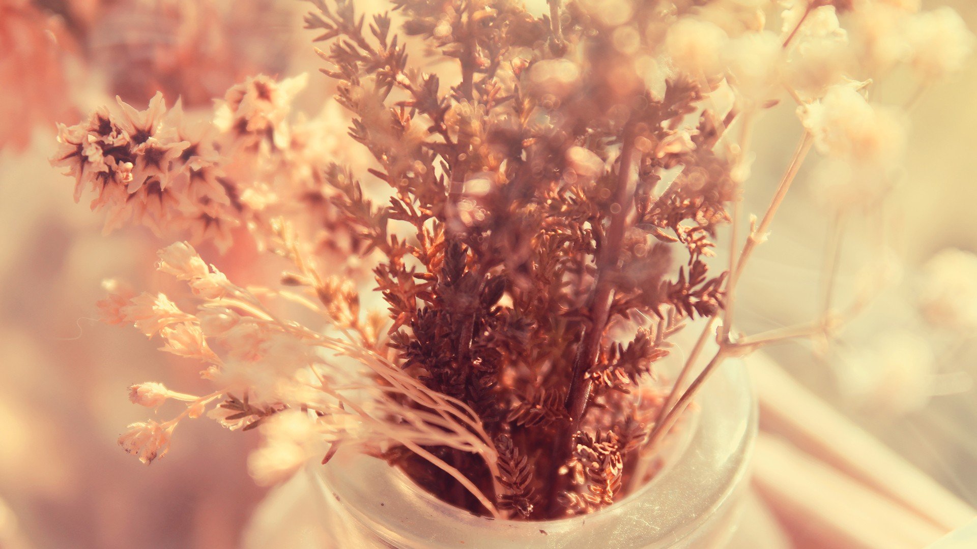 小清新,唯美,静物写真,温馨,物语,花