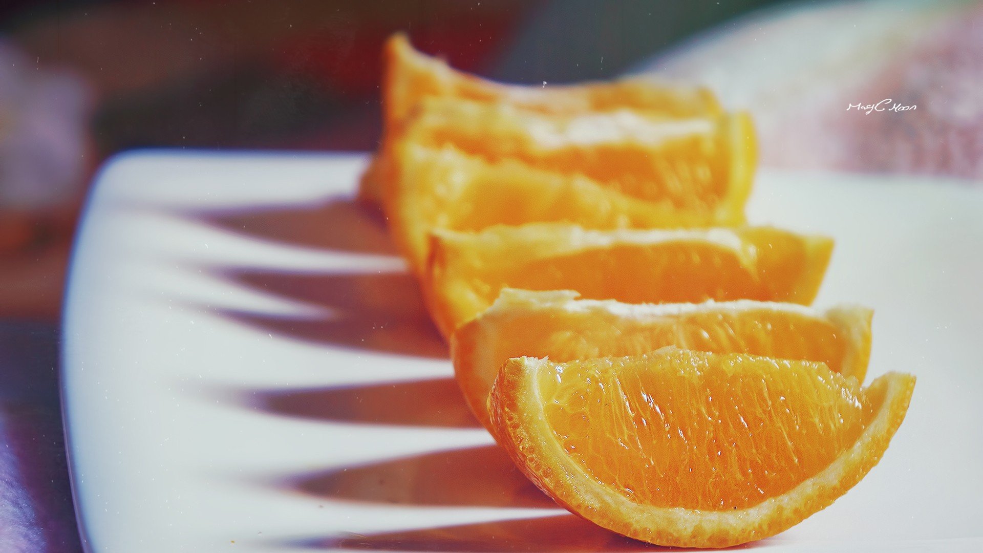 小清新,唯美,静物写真,温馨,物语,回忆,玫瑰