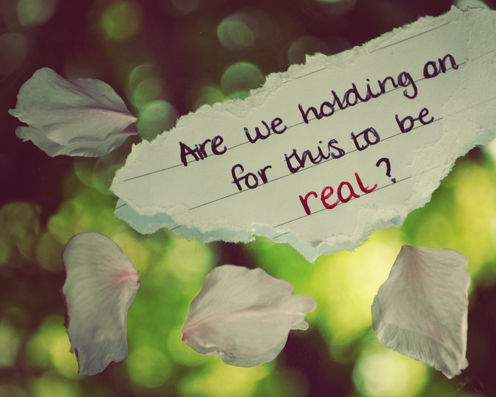 文字,文字控,语录