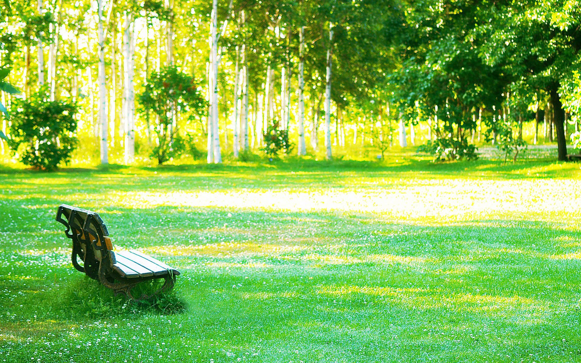 小清新,唯美,温馨,安静,绿色养眼,植物