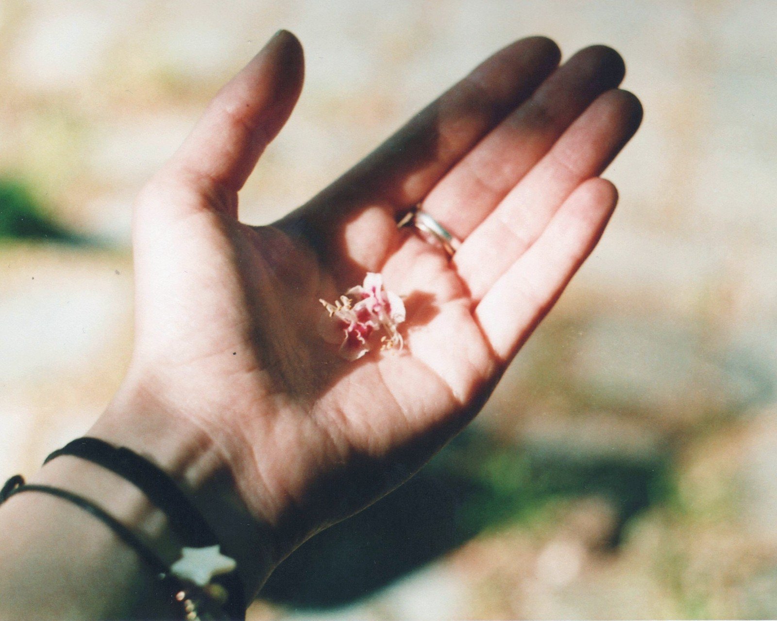 小清新,唯美,静物写真,温馨,物语,回忆,闹钟,时间