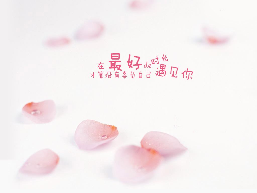 文字,文字控,语录,粉色