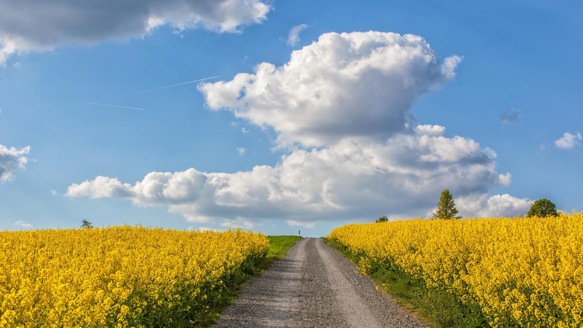 风景,公路,路,远方