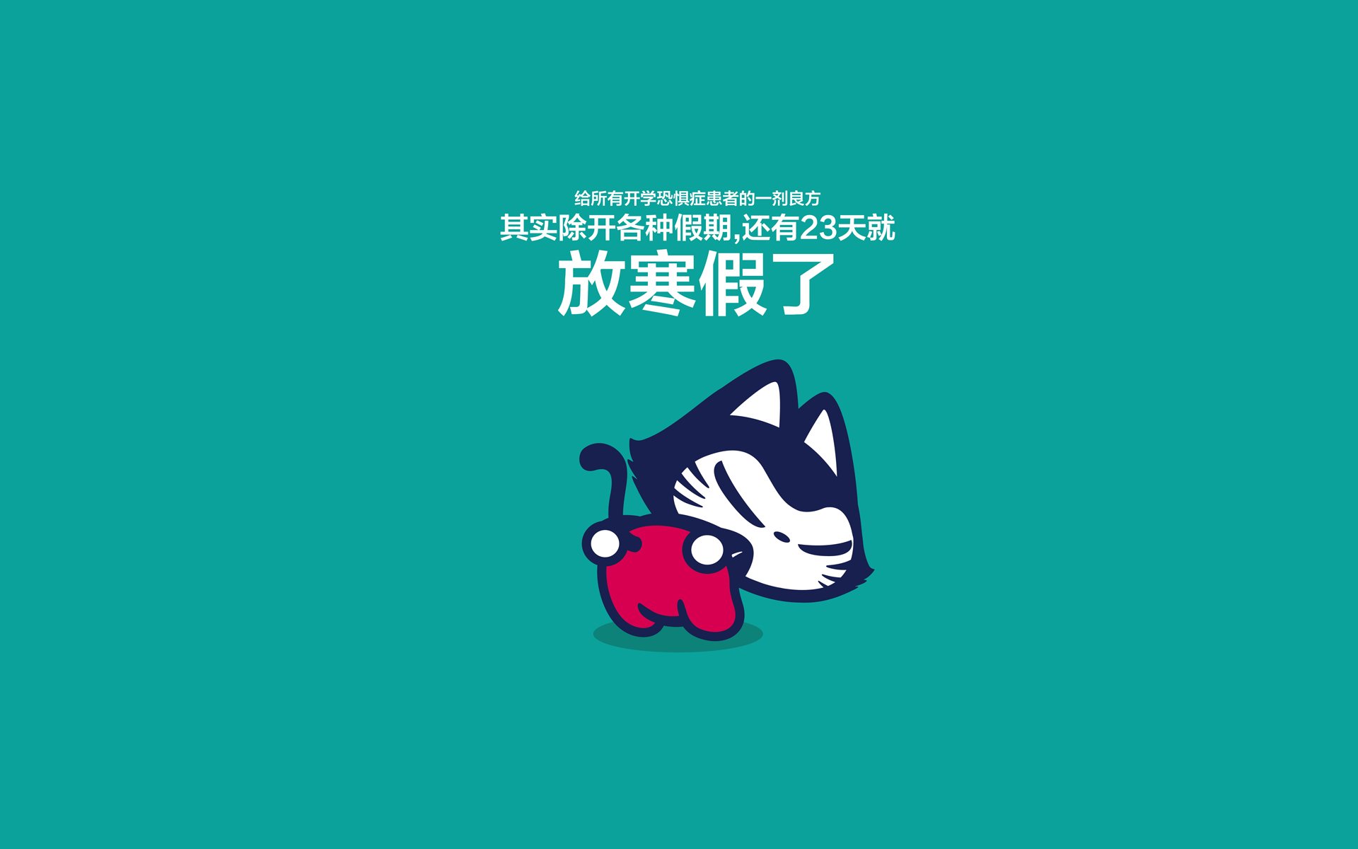 拽猫开学季,搞笑,文字控,恶搞,自嘲