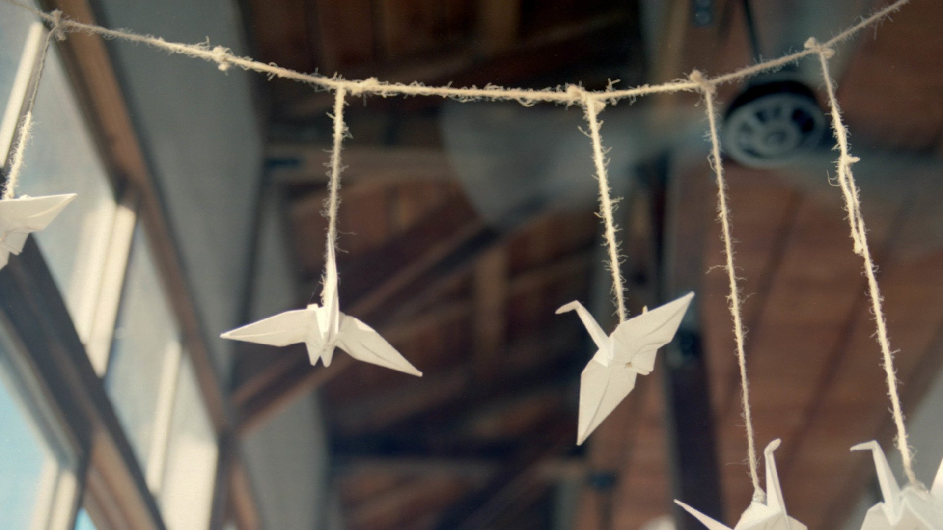 小清新,唯美,折纸,愿望,心愿,千纸鹤