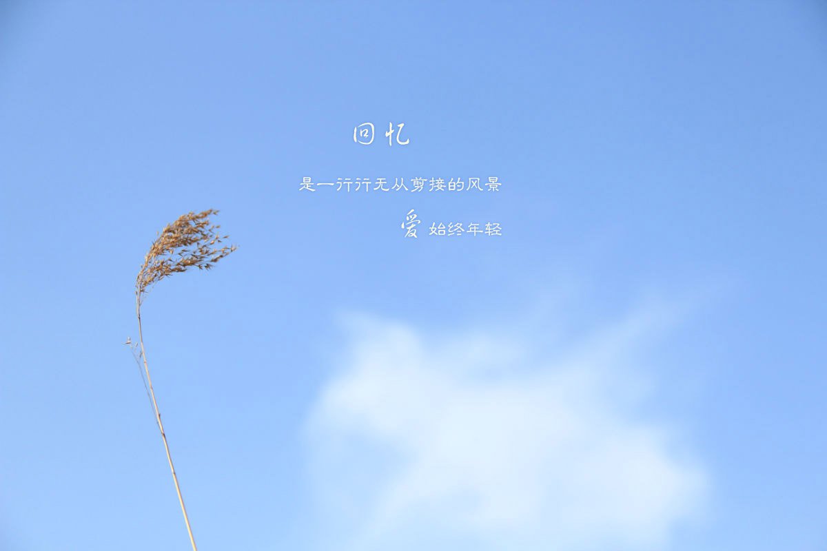 文字,文字控,语录,天空,蓝天