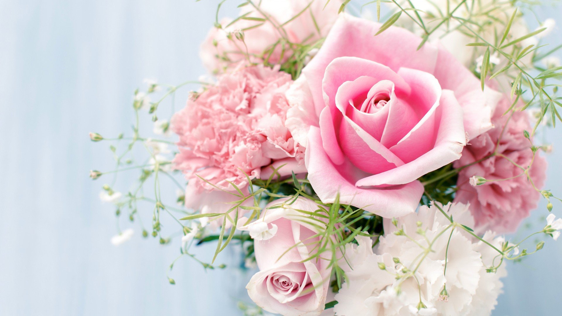 小清新,温暖,干净,安静,唯美,静物,物语,时光,清新淡雅,花朵