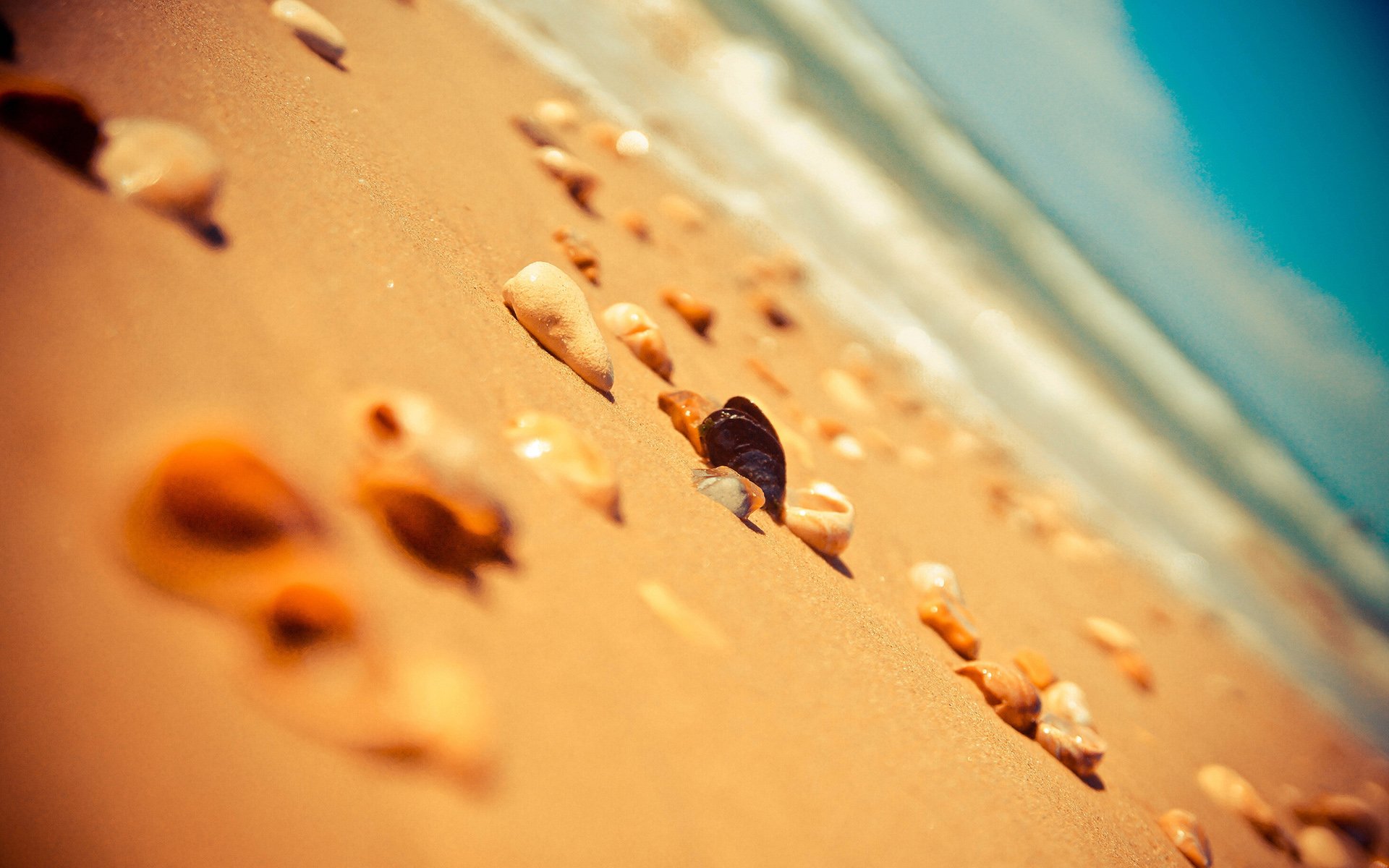 小清新,唯美,静物写真,物语,大海,海边,海螺,沙滩,贝壳