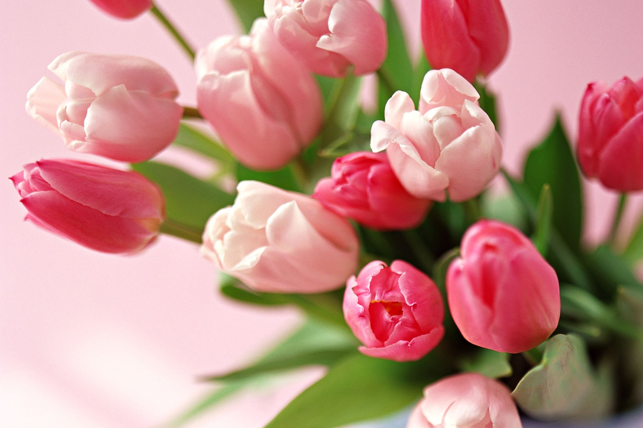 小清新,温暖,干净,安静,唯美,静物,物语,时光