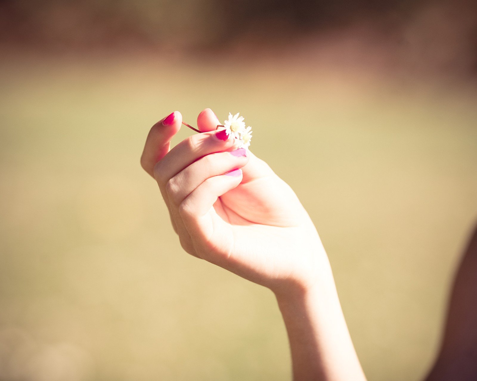 小清新,温暖,干净,安静,温馨,唯美,静物,物语,手,花