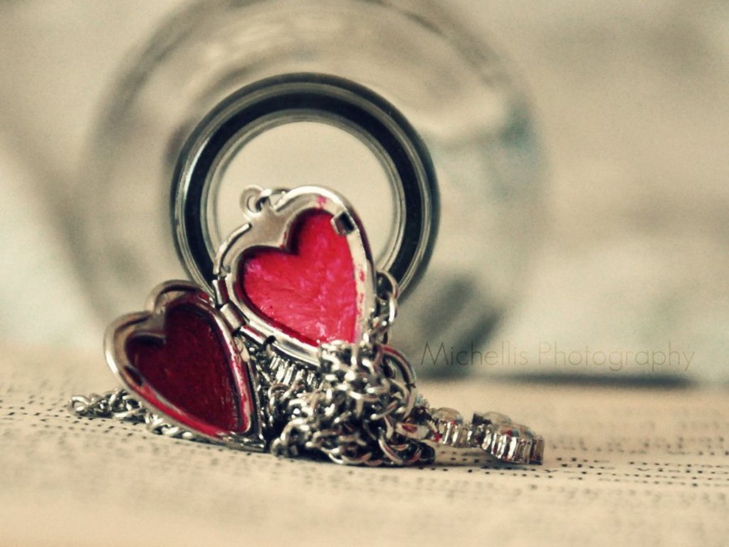 爱情,浪漫,静物,唯美