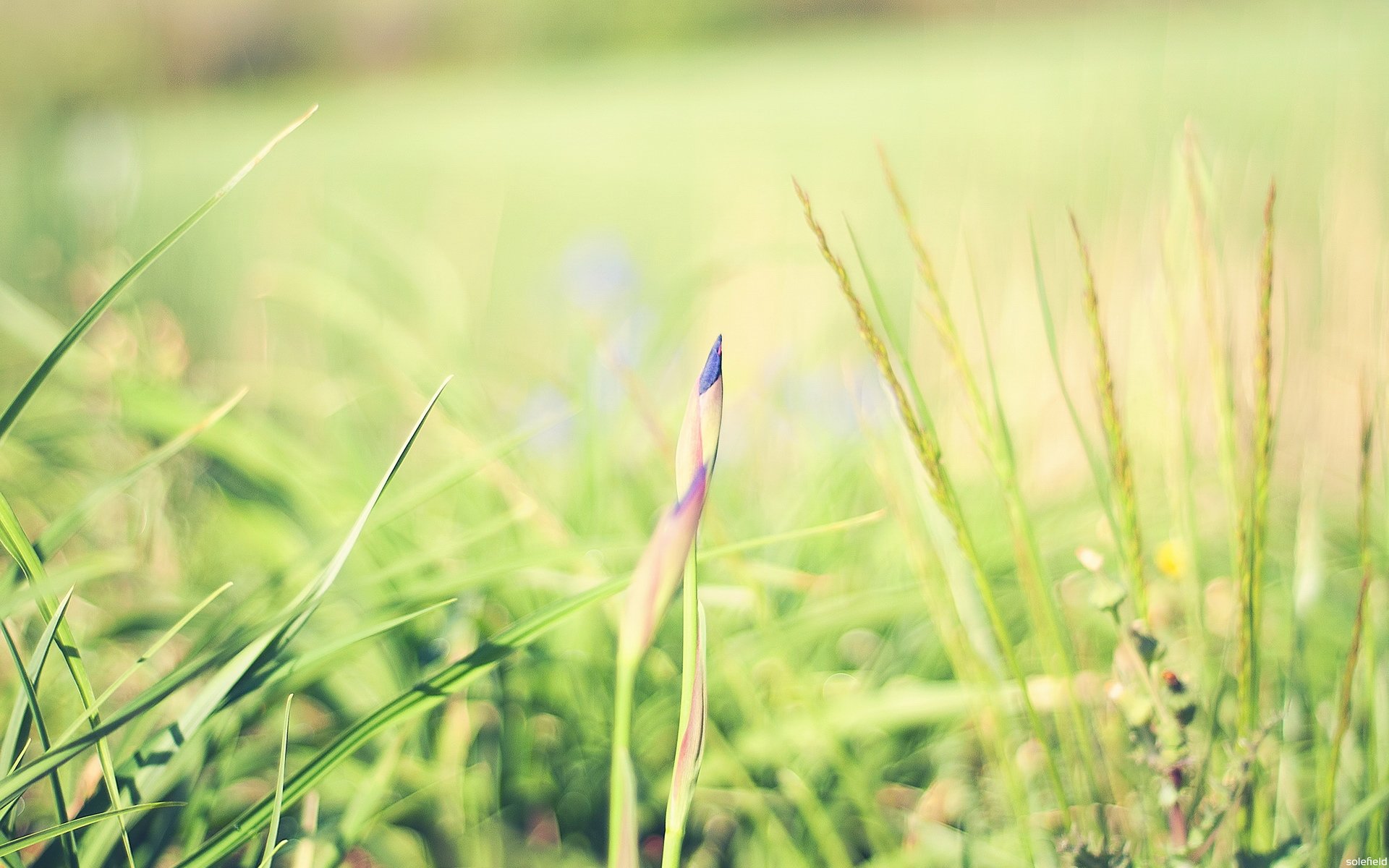 小清新,温暖,干净,安静,唯美,静物,物语,时光