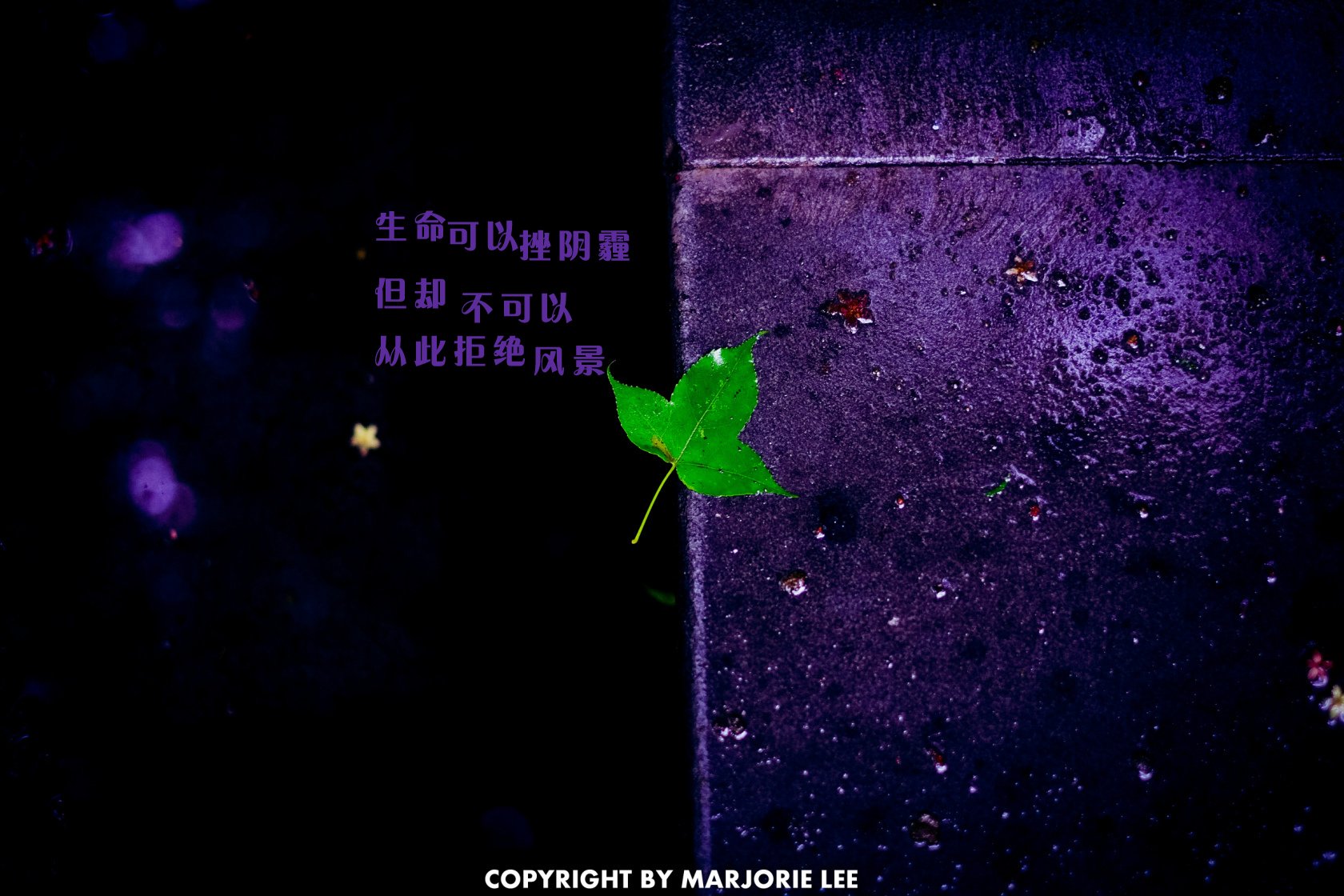 炫酷,另类,个性,简约,文字