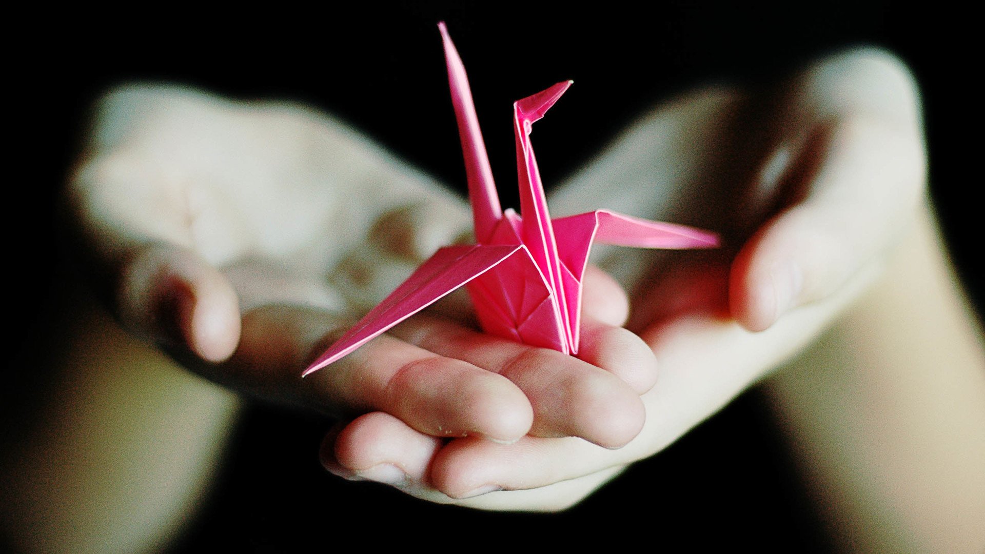 小清新,唯美,折纸,愿望,心愿,千纸鹤