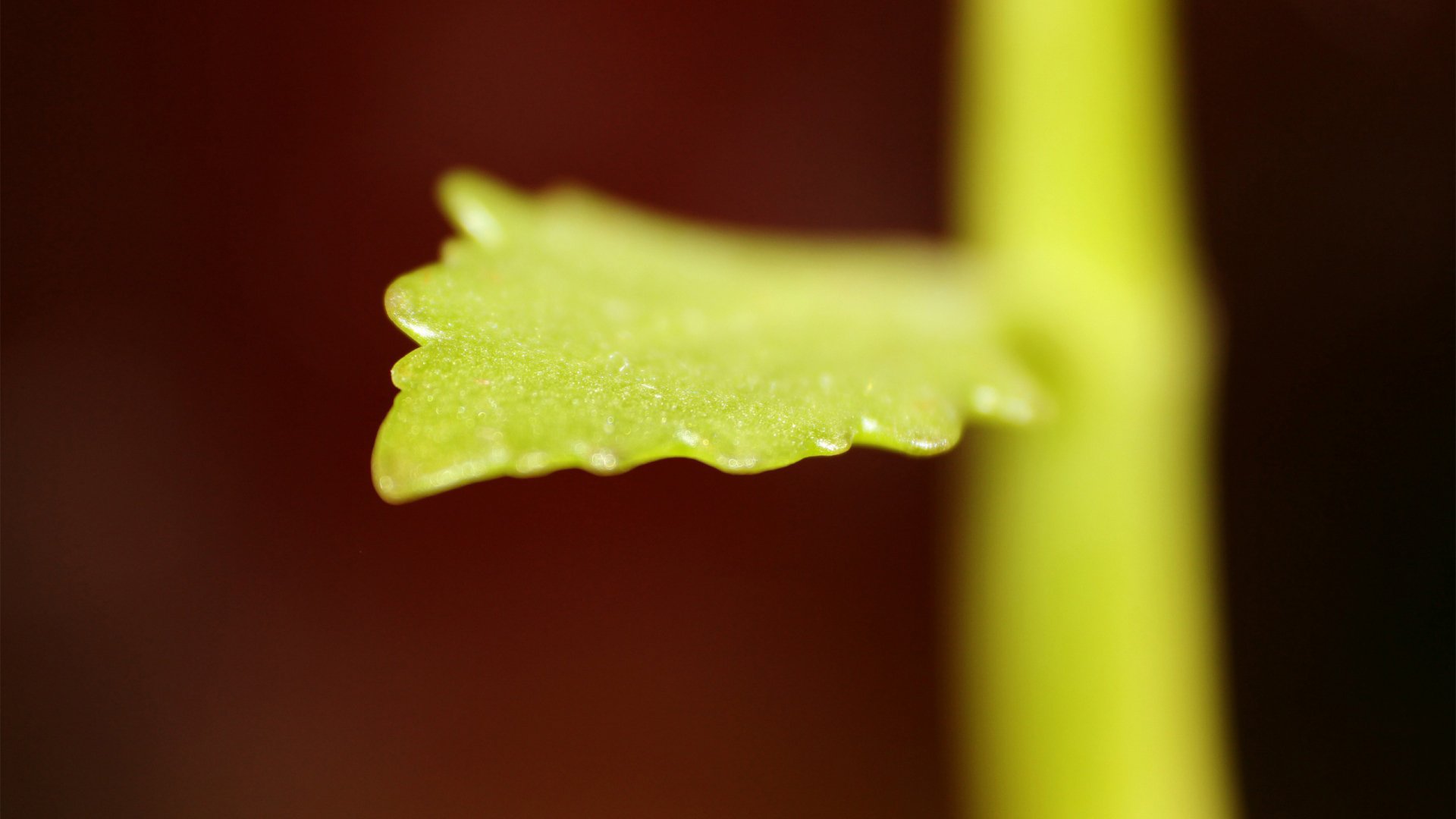 小清新,温暖,干净,安静,唯美,静物,物语,时光,清新淡雅,宁静安详