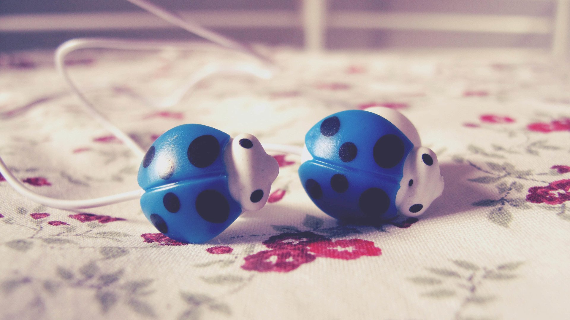 小清新,唯美,静物写真,物语,孤单,等待,温暖,安静