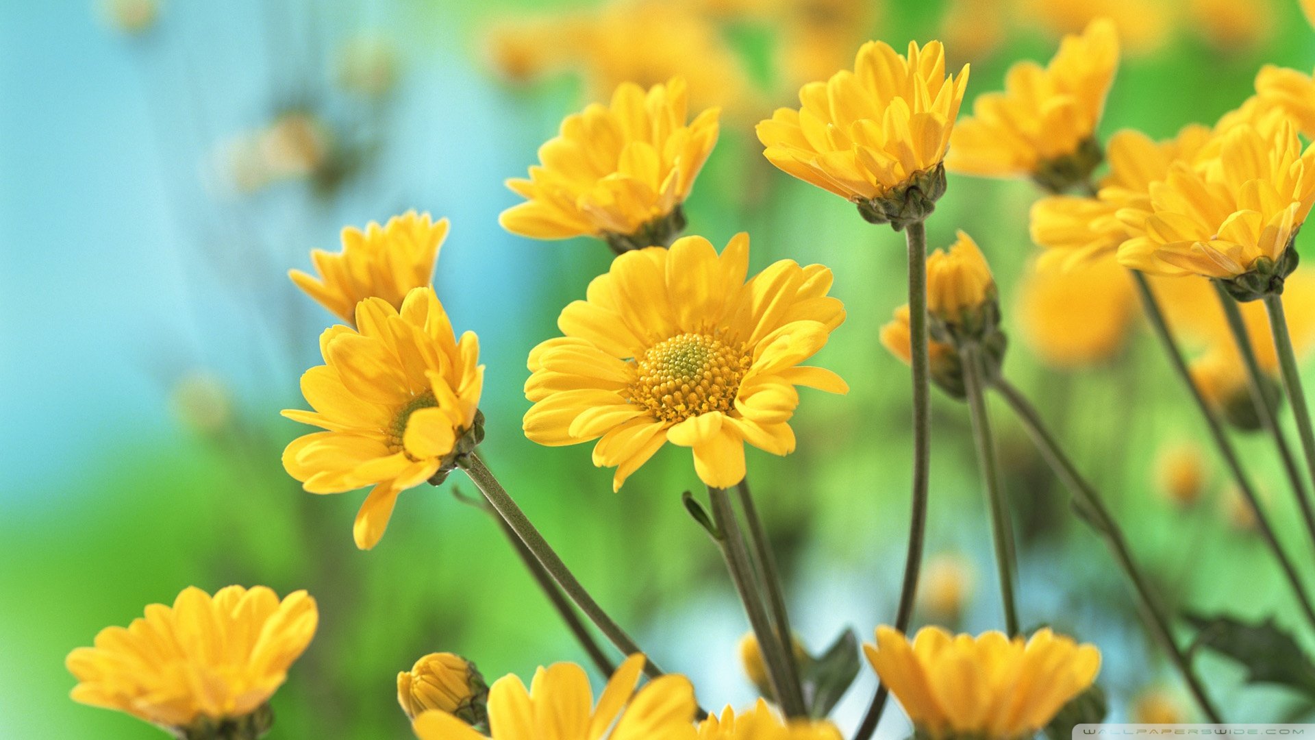 小清新,温暖,干净,安静,唯美,静物,物语,时光