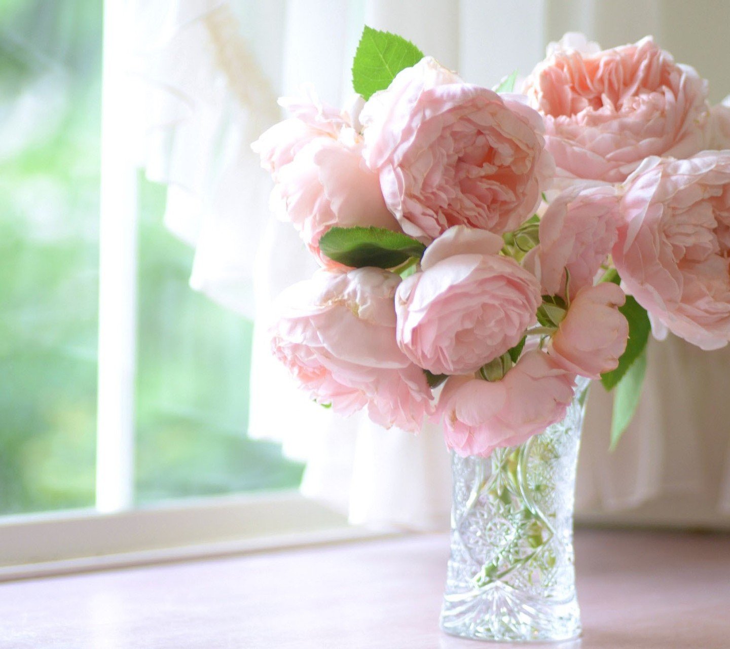 小清新,温暖,干净,安静,温馨,唯美,静物,物语,花