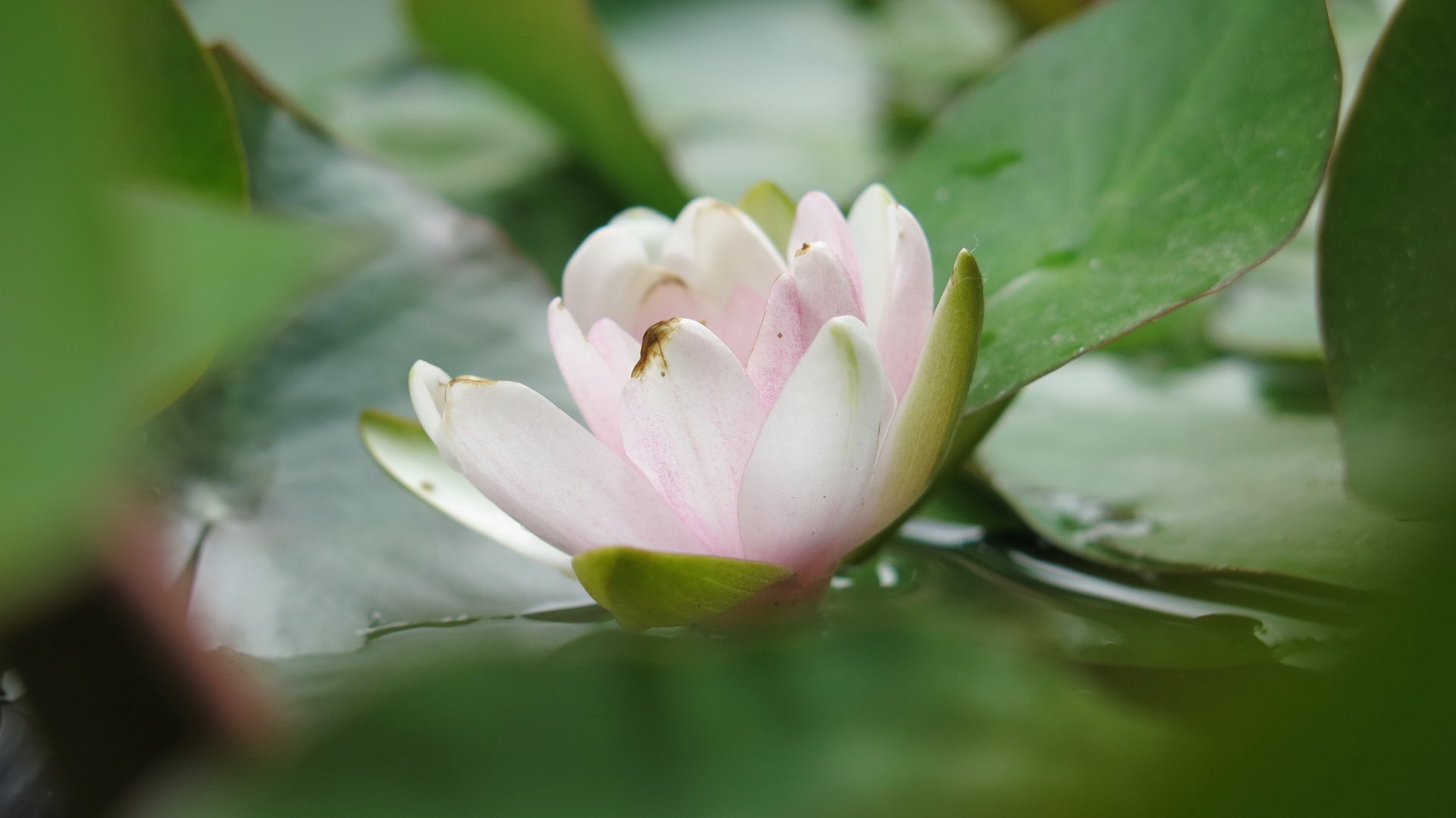 风景,自然风光,大自然