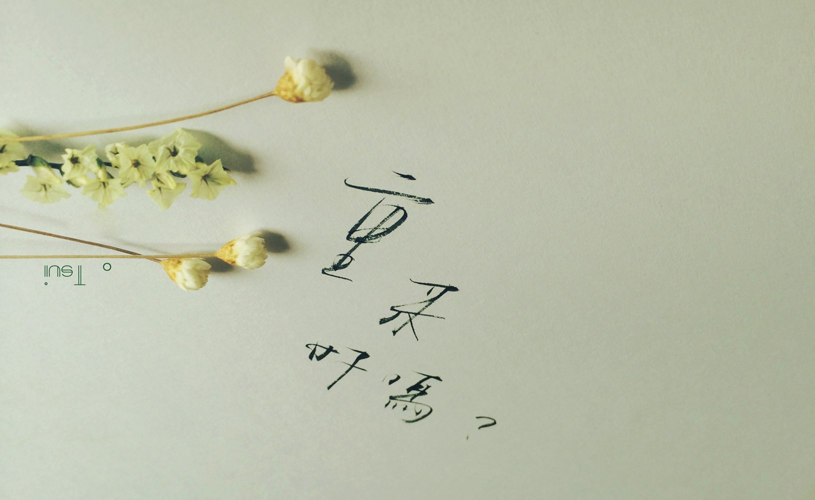 文字,文字控,语录,简约