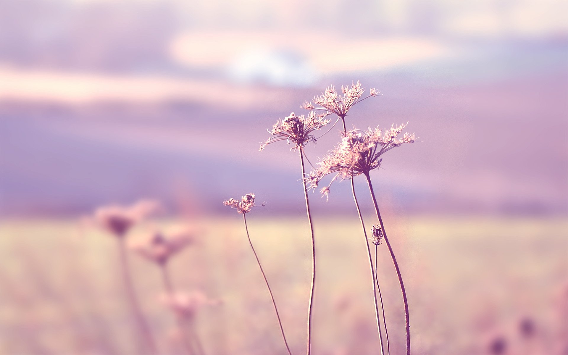 风景,风光,旅行,唯美,意境