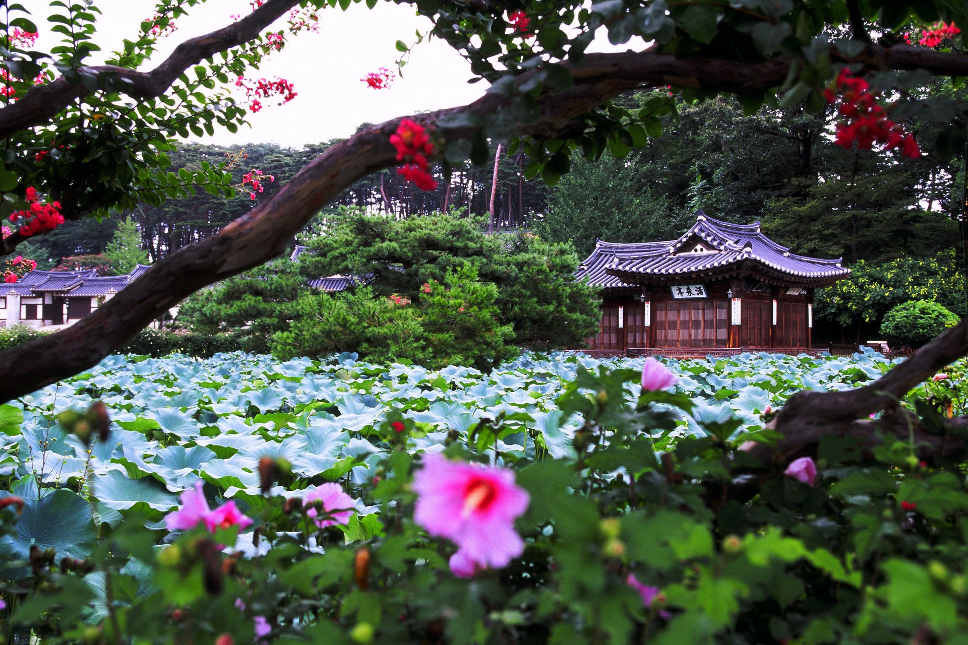 风景,自然风光,大自然,清新,旅行,时光,唯美