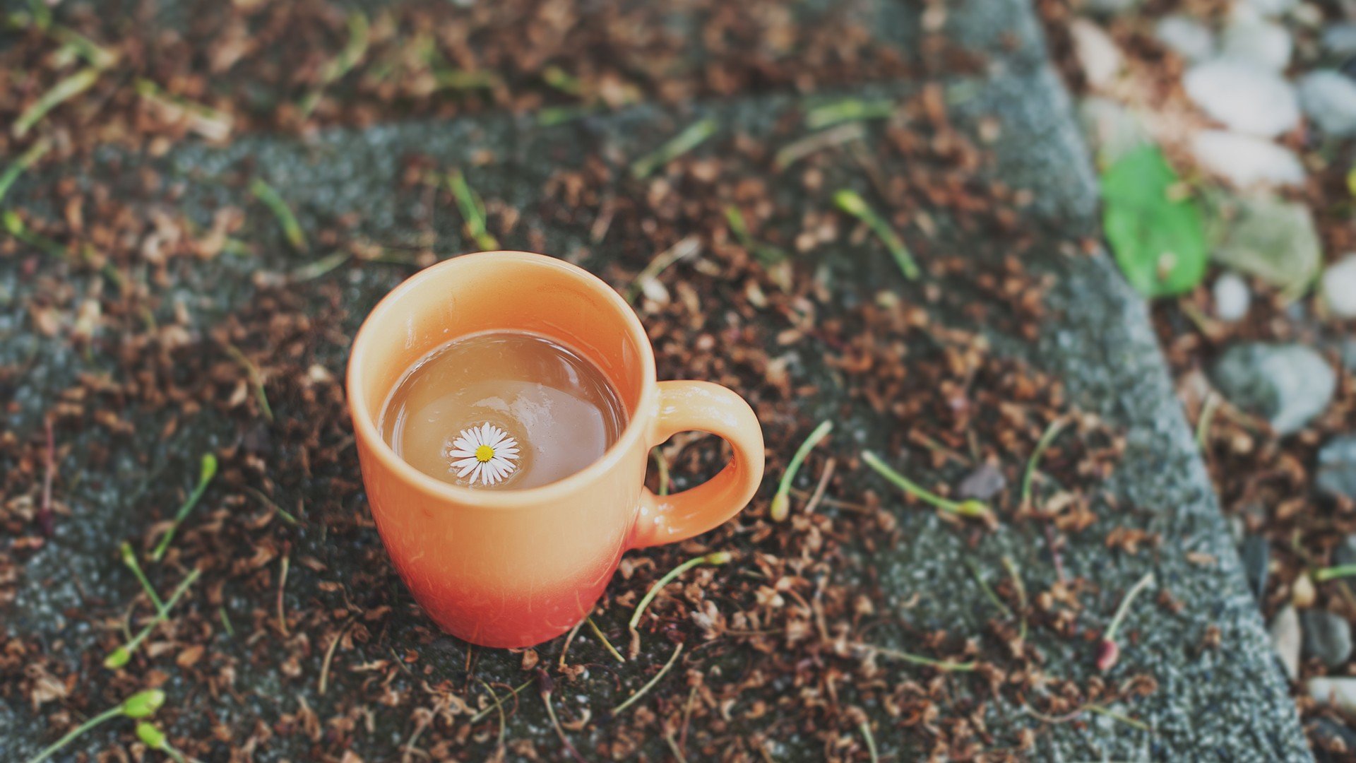 小清新,温暖,干净,安静,唯美,静物,物语,时光