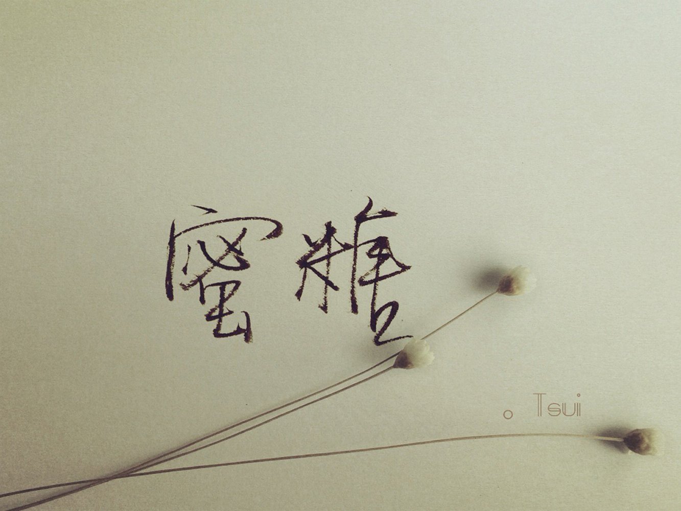 文字,文字控,语录