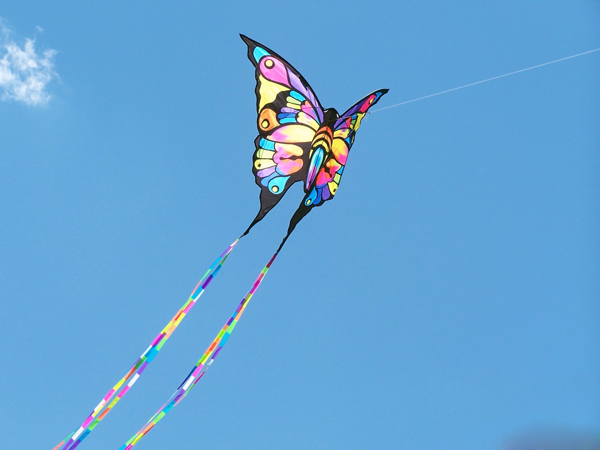 小清新,温暖,干净,安静,温馨,唯美,静物,物语,蝴蝶,风筝