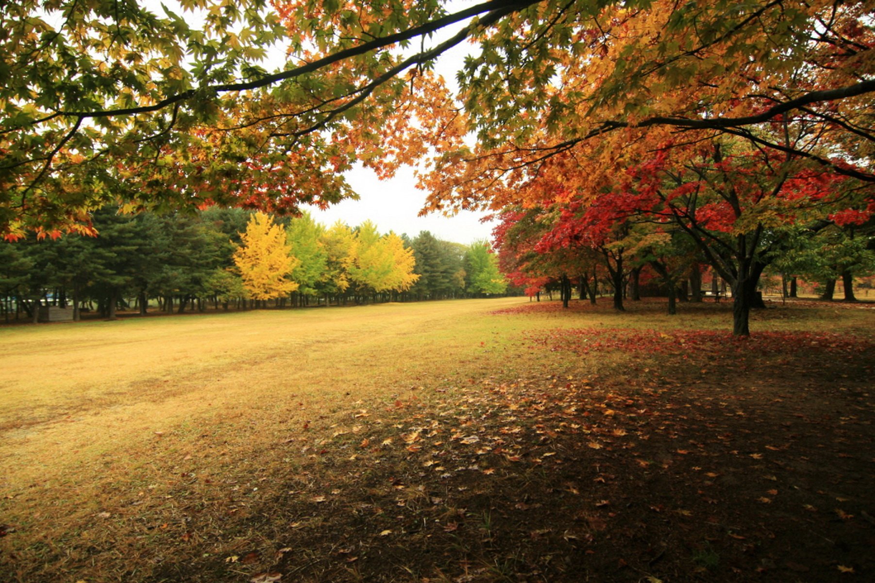 风景,自然风光,大自然