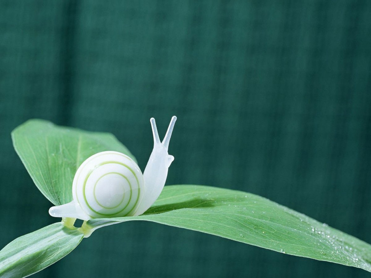 小清新,t恤,蓝天,天空,唯美