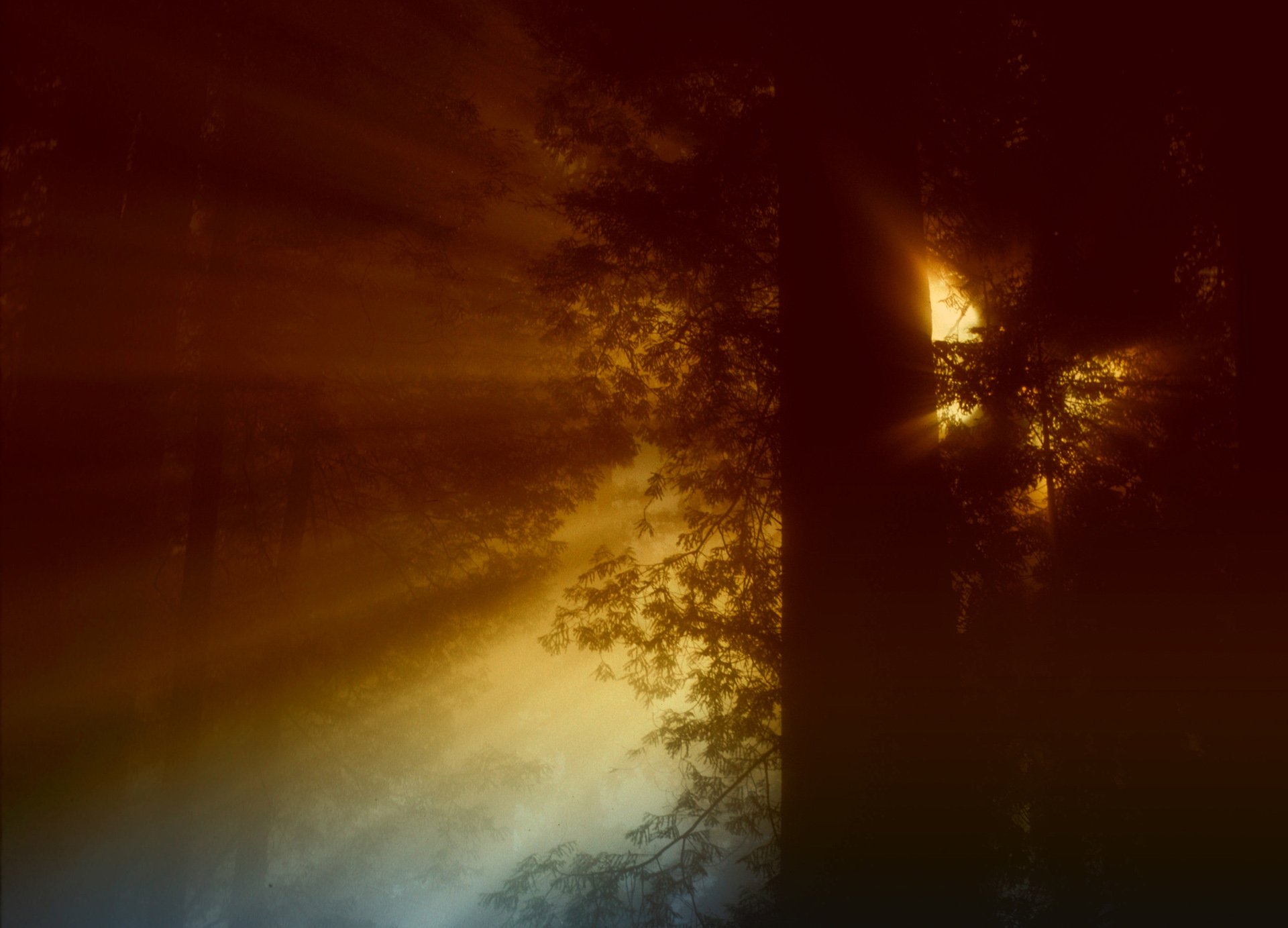 风景,自然风光,黄昏,夕阳,傍晚,落日,唯美,意境,落日余晖