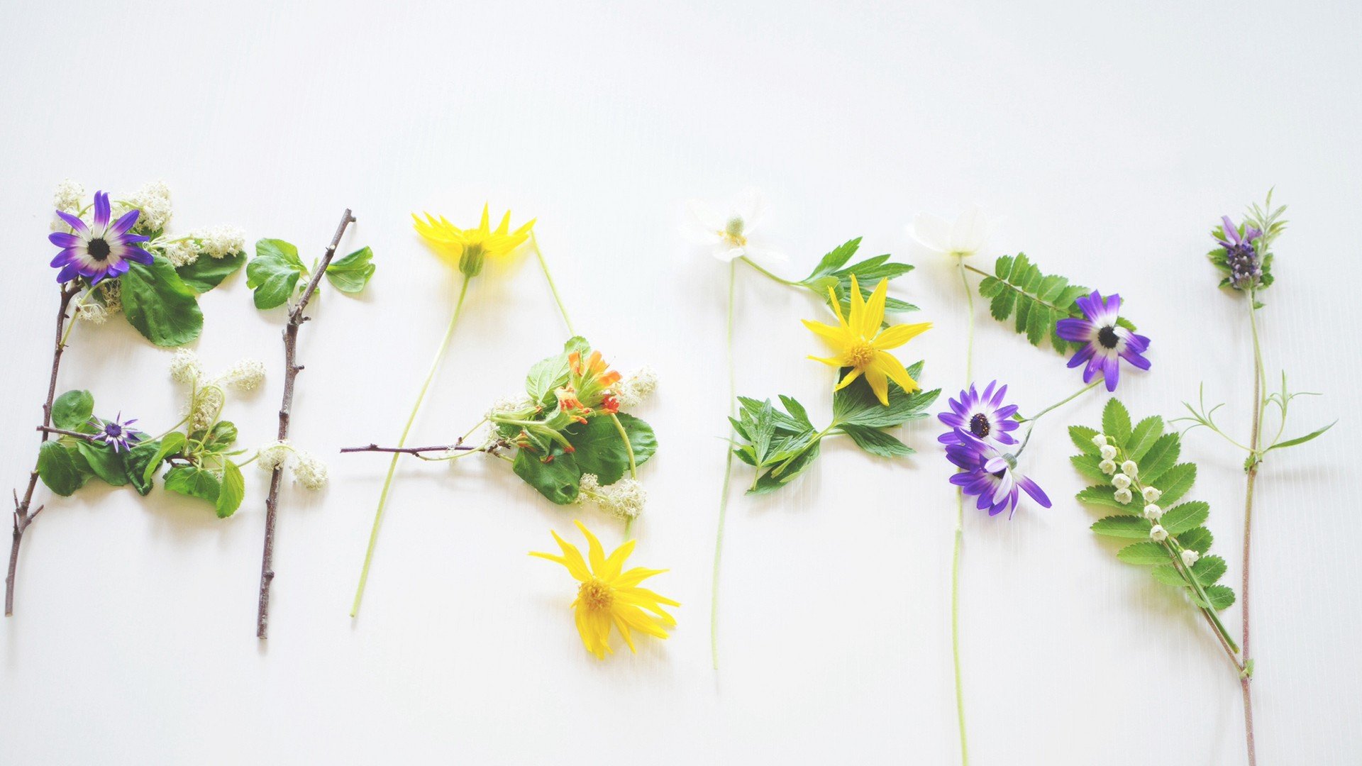 小清新,温暖,干净,安静,唯美,静物,物语,时光