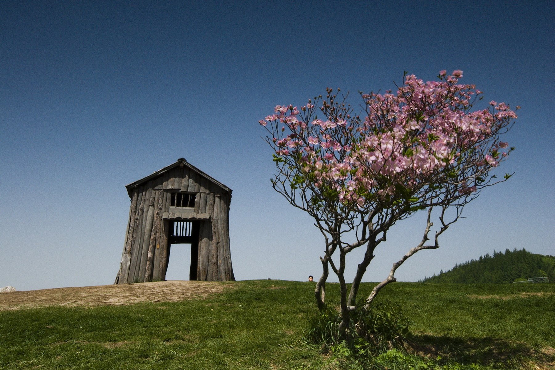 风景,自然风光,大自然