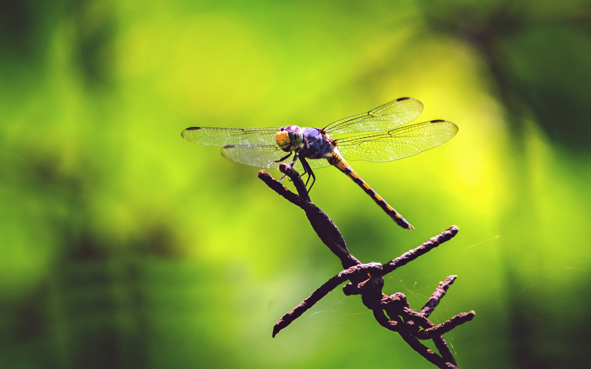 小清新,温暖,干净,安静,唯美,静物,物语,时光,清新淡雅,宁静安详
