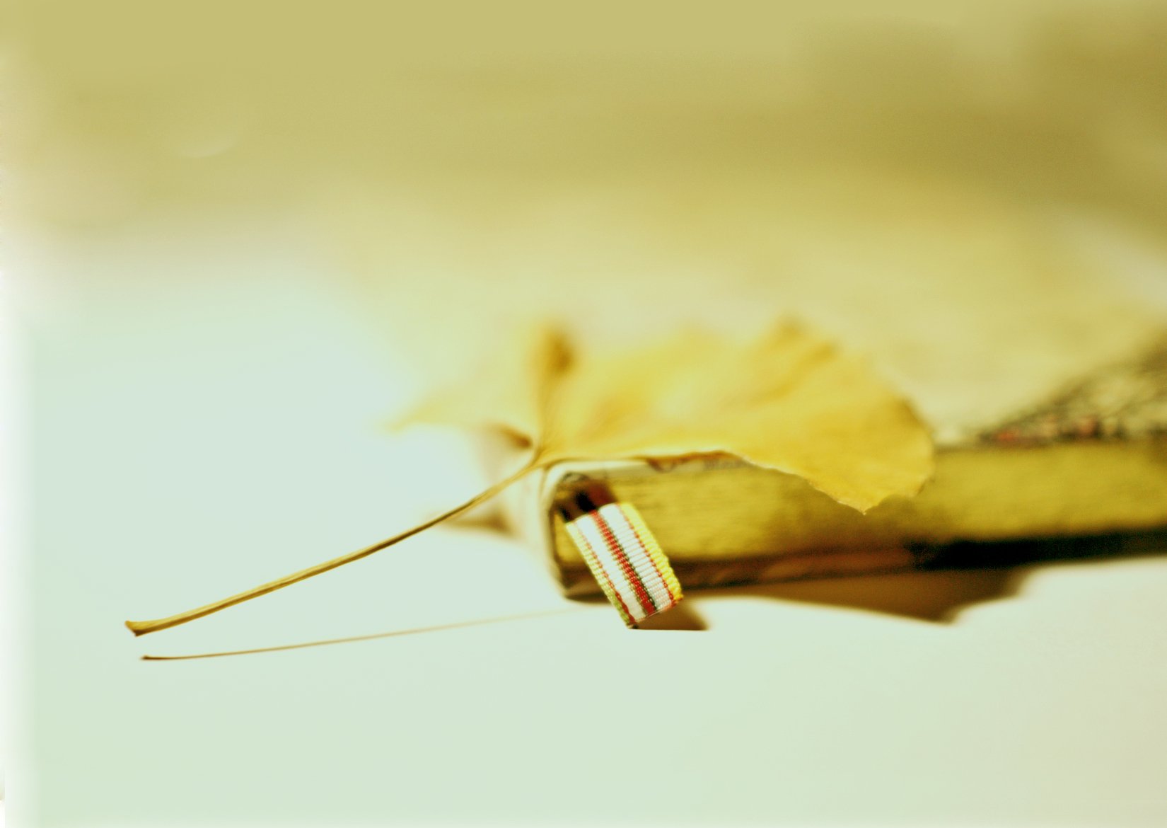 小清新,唯美,静物写真,温馨,物语,回忆,熊,孤独,等待,安静