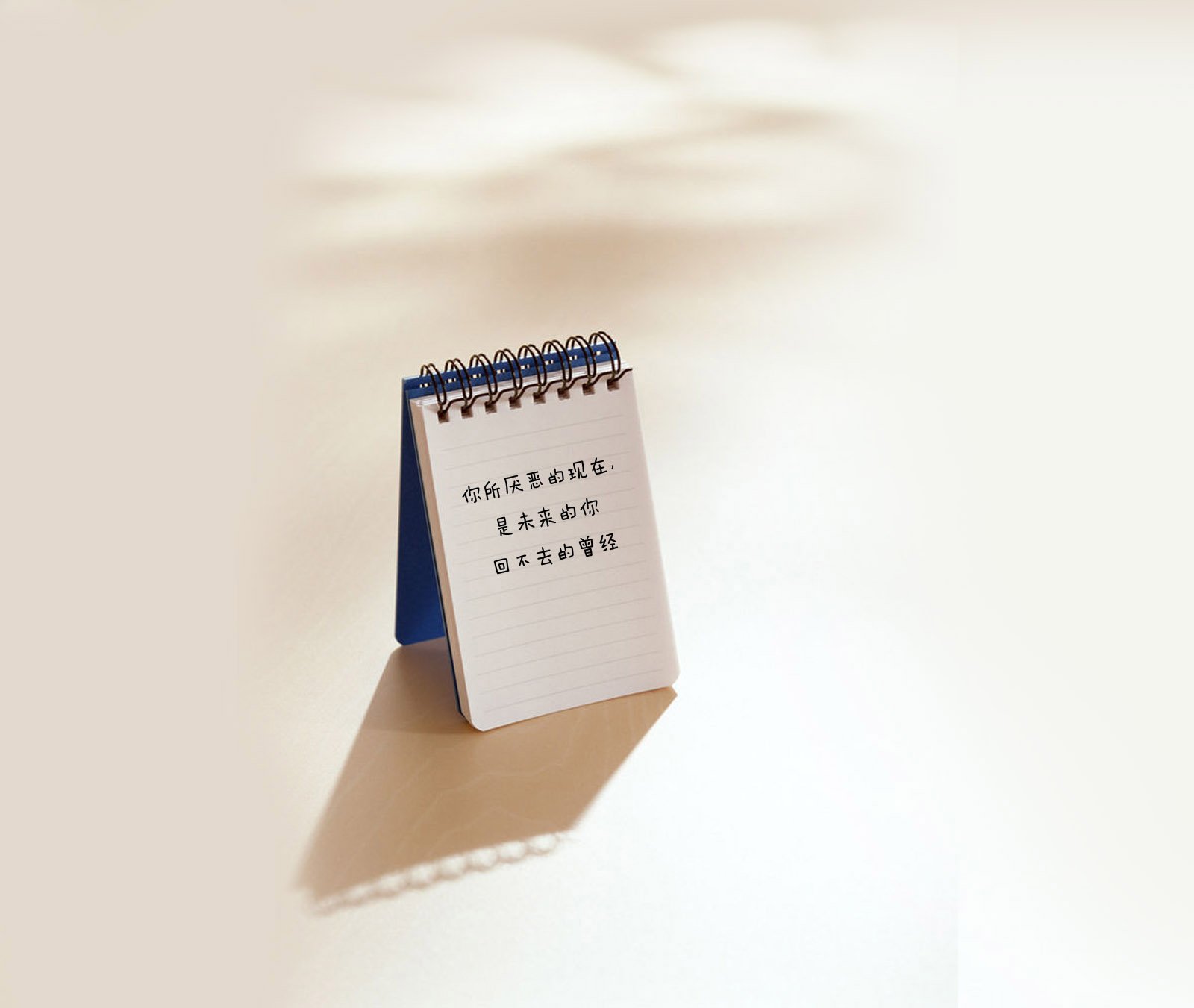 文字,文字控,语录,花,生活,清新