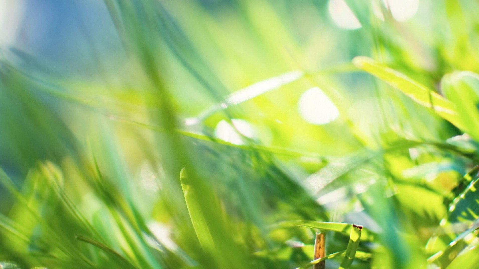 小清新,唯美,温馨,安静,绿色养眼