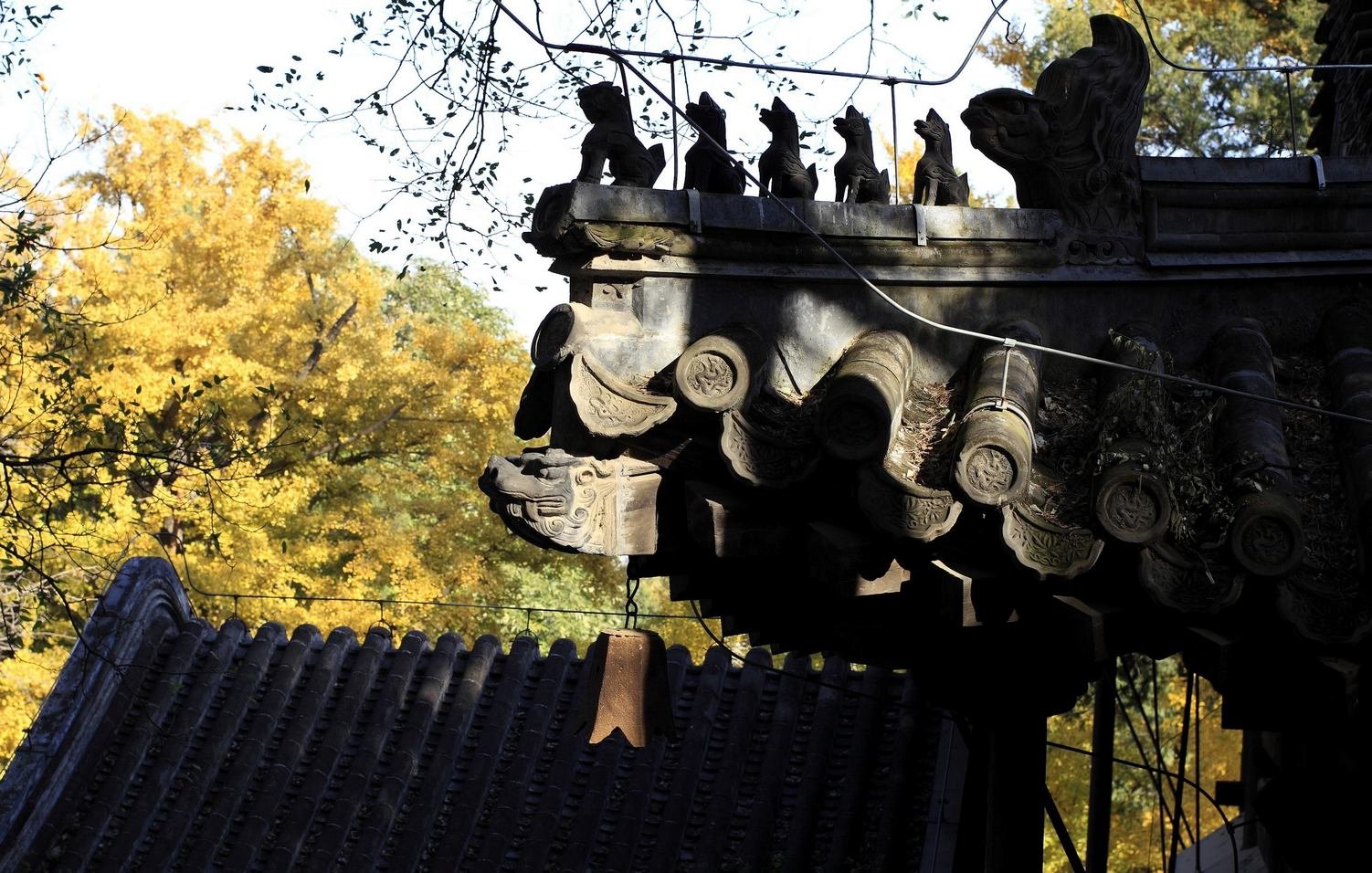 小清新,唯美,温馨,安静,建筑