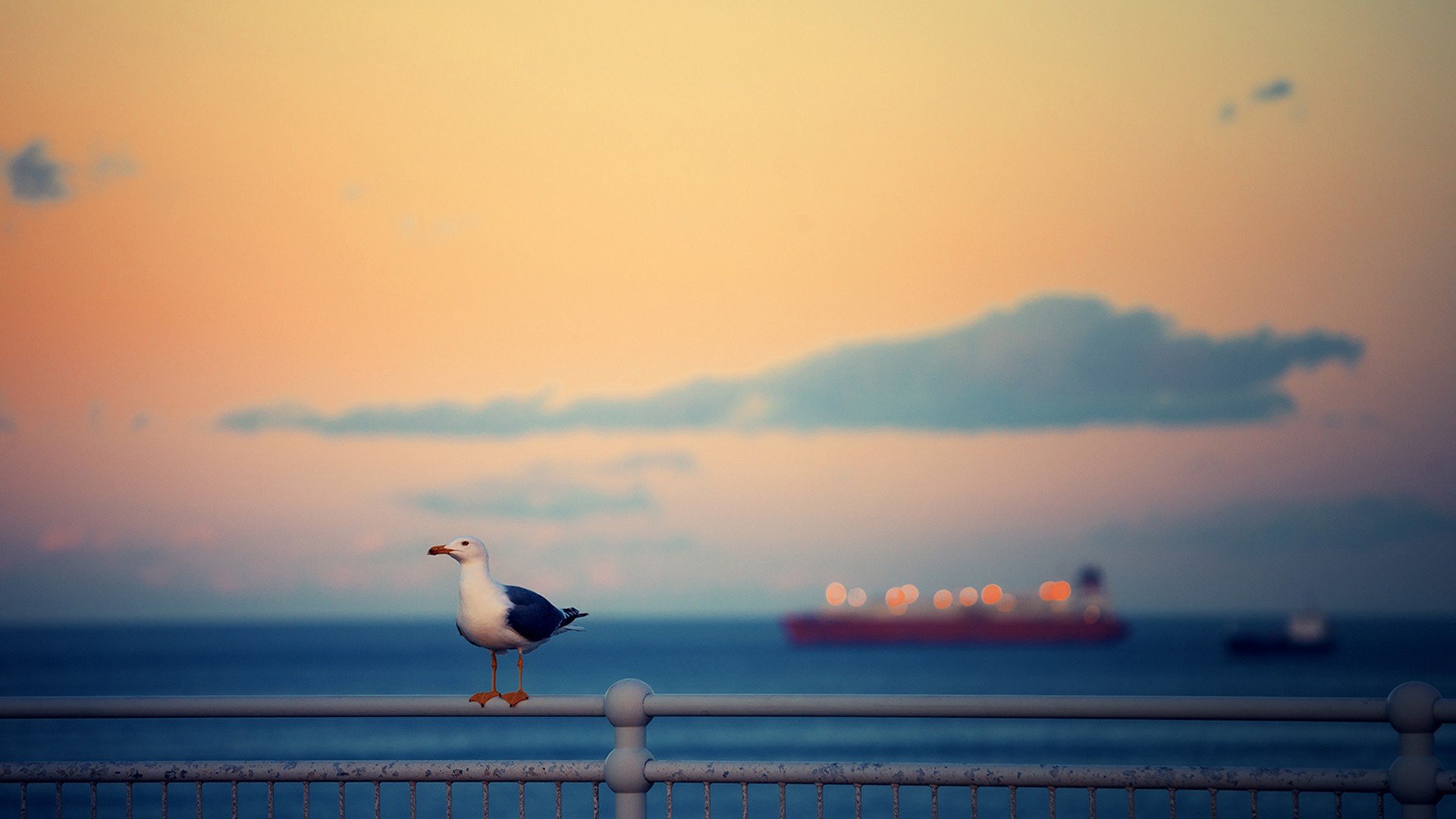 风景,自然风光,大自然,清新,旅行,时光,唯美
